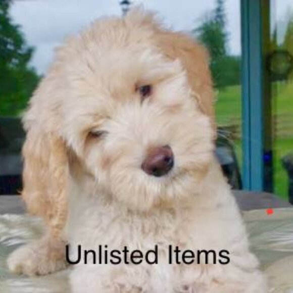 Unlisted Items - Picture 1 of 1